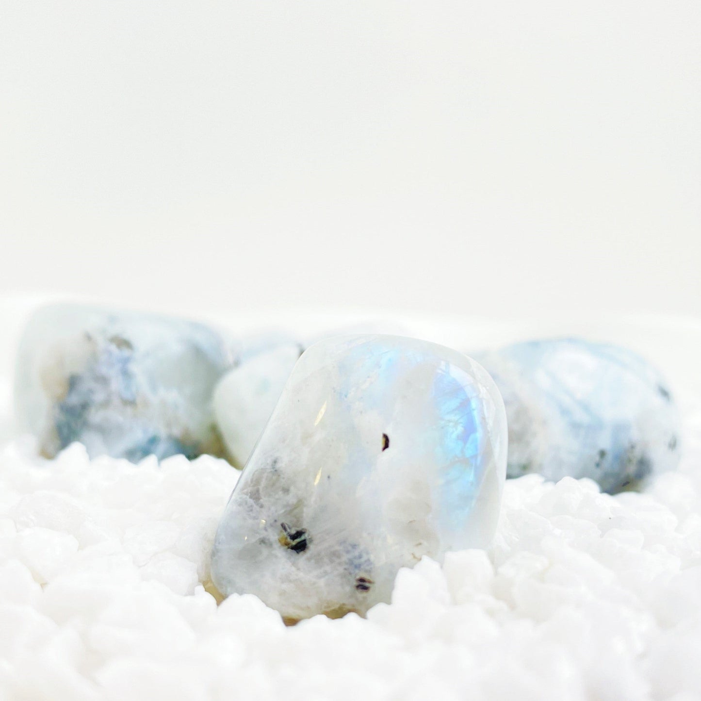 A ROSA do Aniversario