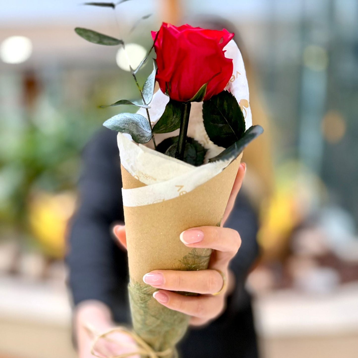 Rosa Natural Preservada - Premium