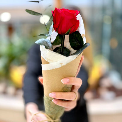 Rosa Natural Preservada - Premium