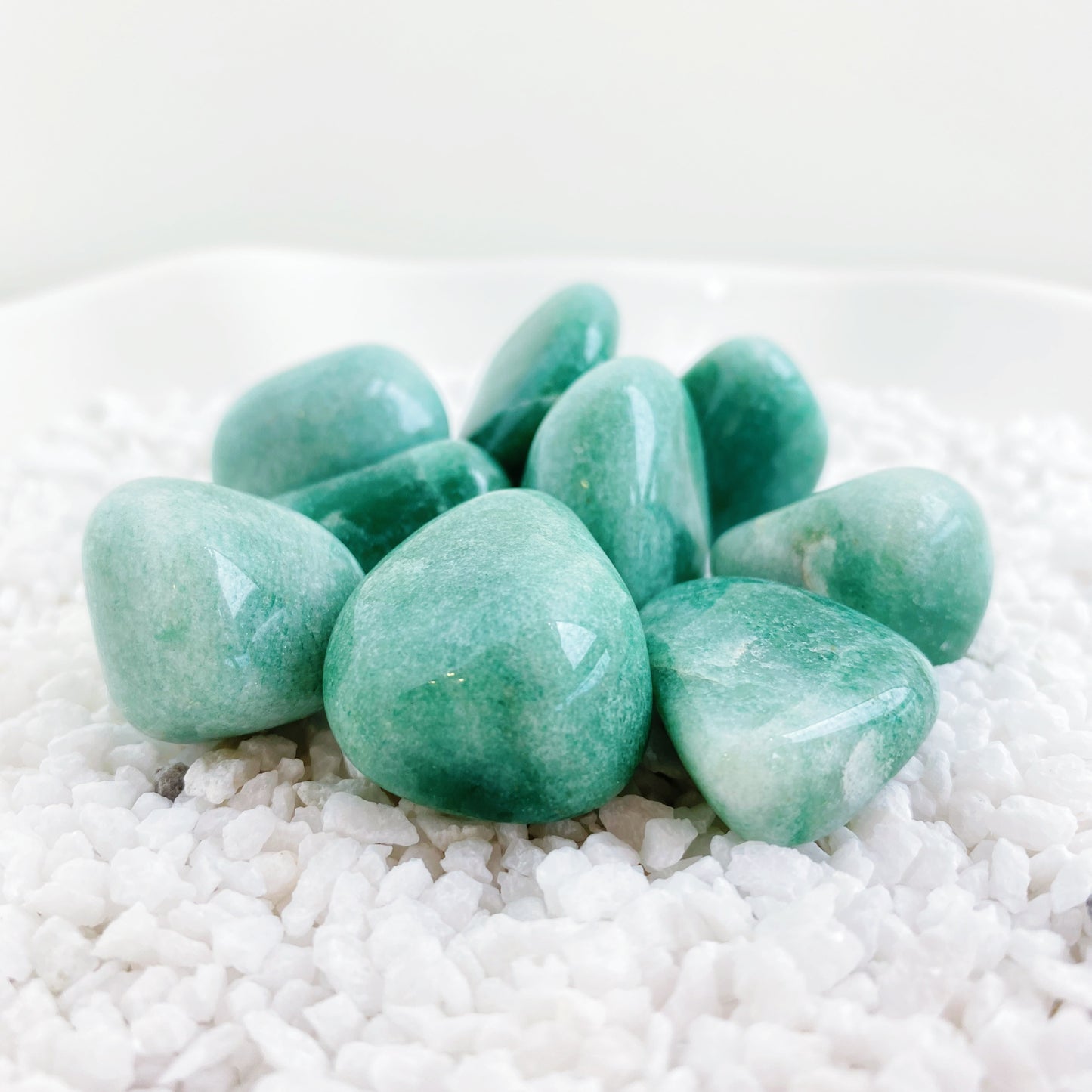 A ROSA do Aniversario