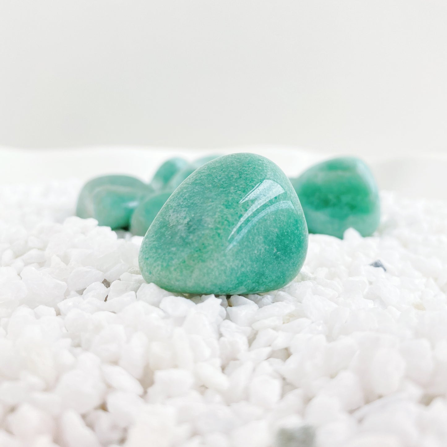 A ROSA do Aniversario