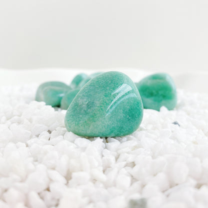 A ROSA do Aniversario