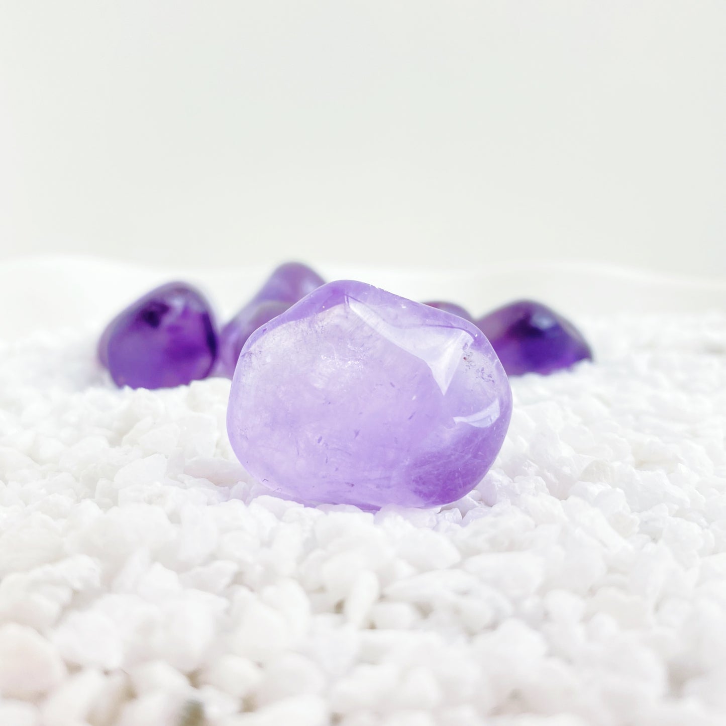 A ROSA do Aniversario