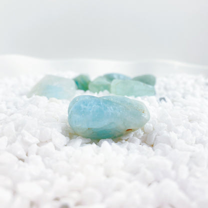 A ROSA do Aniversario