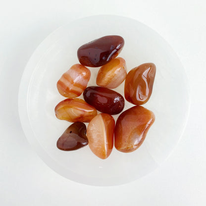 A ROSA do Aniversario