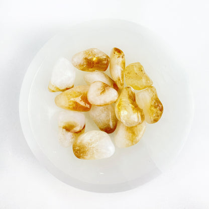 A ROSA do Aniversario