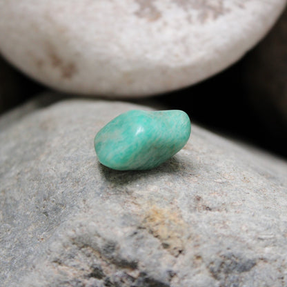 A ROSA do Aniversario